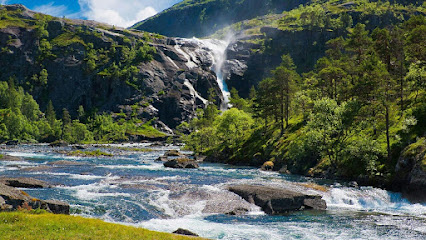 طيور الجنة طيور الجنة - Ad Darb -