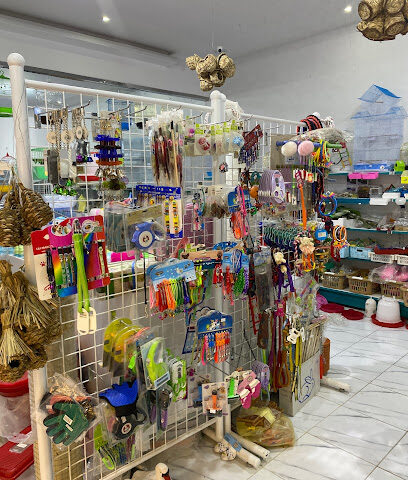 محلات ابو محمد للطيور - سكاكا - +966 50 486 7941