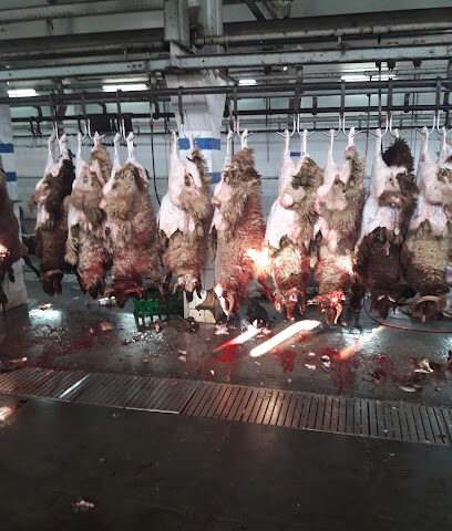 ملحمة أنعام البلد الطازجه للتجاره - الدمام - +966 50 161 2048