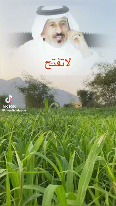 ٤ شقق تمليك الشقة السفلى ٤٢٠٠٠٠ العلوية ٤٥٠٠٠٠ العمارة بالكامل ١٤٥٠٠٠٠ - Al Jumum 25351