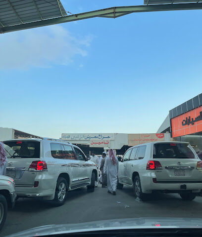 مميزة معارض السيارات بالشيخ قاسم - بريدة - +966 55 513 1010