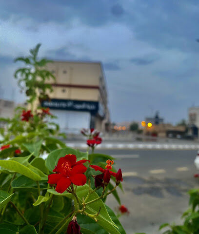 ملحمة النخبة ببدر - بدر - +966 50 433 5380