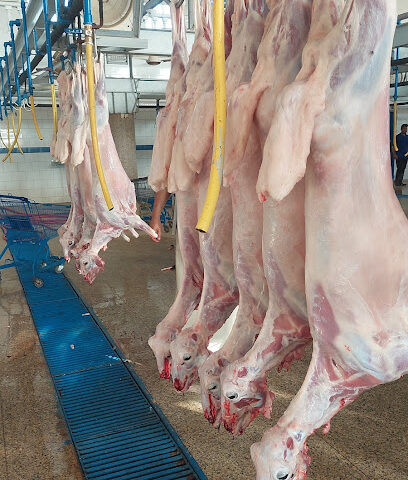 ملحمة حاشي الأصالة - جازان - +966 53 148 1288