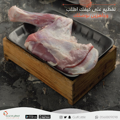 المواشي الخليجية - الدمام - +966 56 000 9098