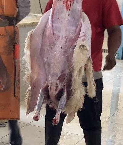 مسلخ محافظة عفيف - عفيف -