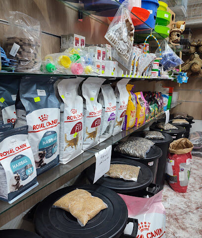 تغاريد لطيور الزينه - حوطة سدير -