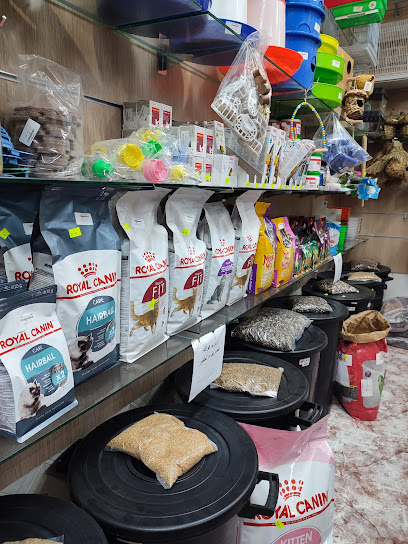 تغاريد لطيور الزينه - Saudi Arabia|Hautat Sudair 15333،|HJV7+WGH،|HJV7+VGX