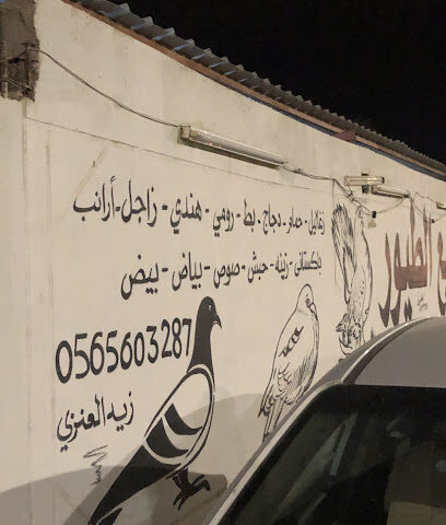 بيت الزغلول للطيور - حفر الباطن - +966 56 560 3287