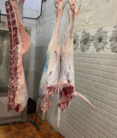 ملحمة النجوم العاليه - الدوادمي - +966 54 371 6943