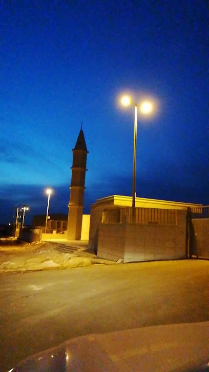 مصنع السلطان للتمور - Saudi Arabia|Buraydah 52515|Alghamas|6WG2+CC9