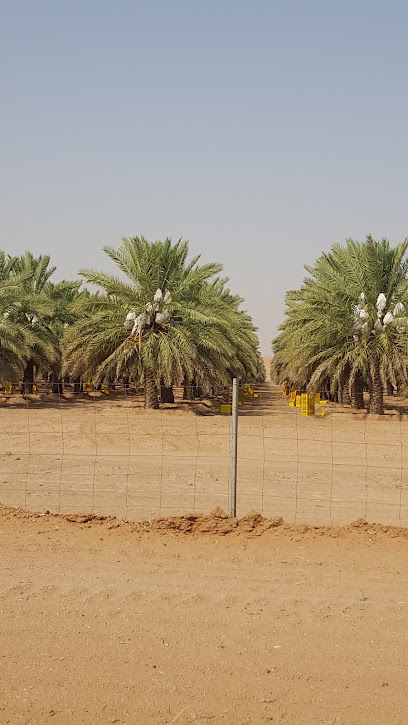 مصنع تمور سدير - Saudi Arabia|Al Majma'ah 15383|5903