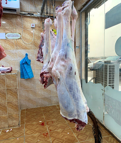 ملحمة حاشي - جازان - +966 53 655 4562