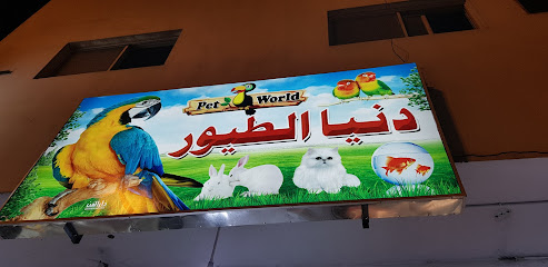 دنيا الطيور / ألفة الدلم - الدلم - +966 53 396 8209