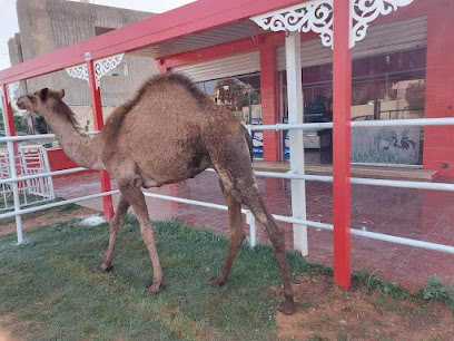 دراجة كهربائية - ينبع - +966 54 600 0929