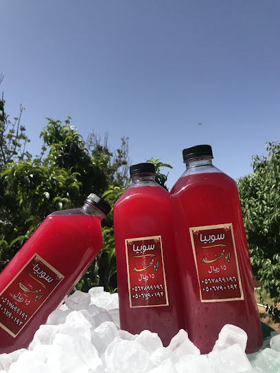 سوبيا أبو مهند - Muhayil 63711