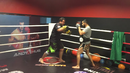 ركن المقاتل - الرياض - +966 54 788 8862