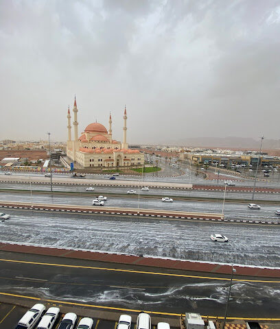 شركة ليدرز الحوادث - يشيد - +966 53 549 3133