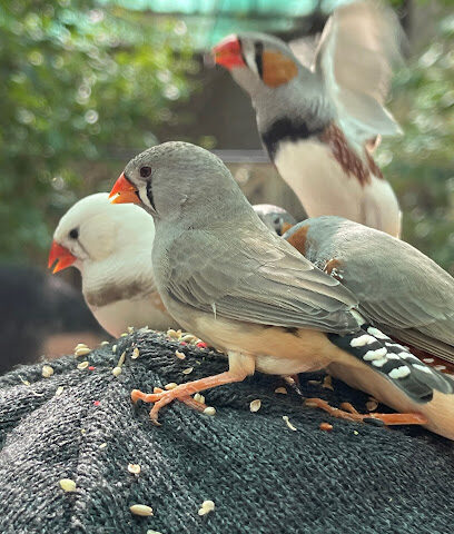 منتجع جاردن تلنتس "حجز مسبق - بريدة - +966 56 045 5255