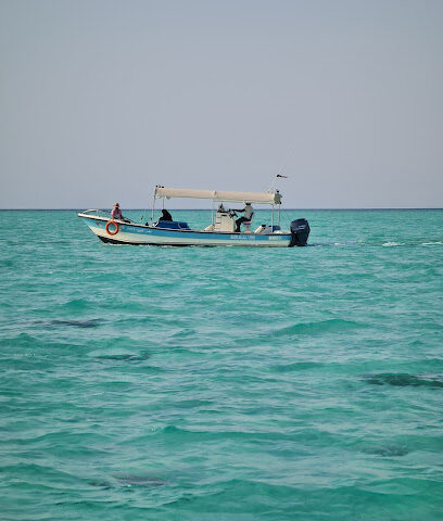 قارب خدمة للشركة - الوجه - +966 50 212 2660