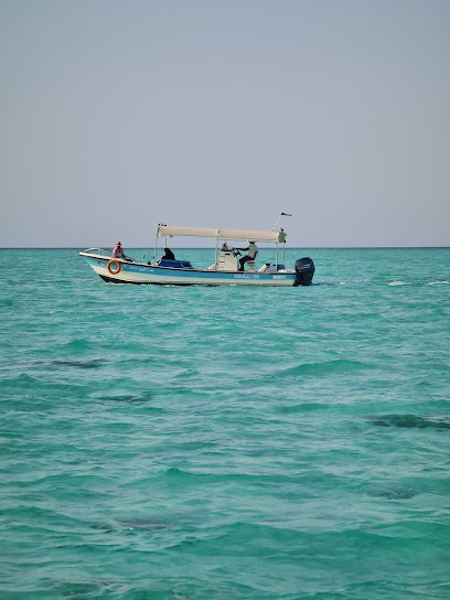 قارب خدمة للشركة - Saudi Arabia|Al Wajh 48719|port