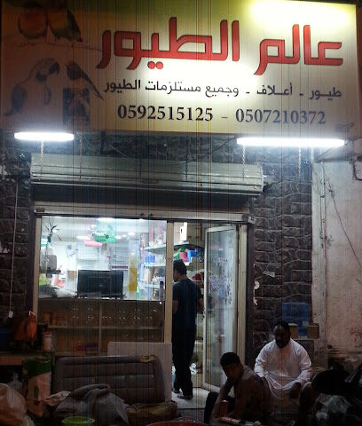 عالم الطيور - القطيف - +966 59 642 5613