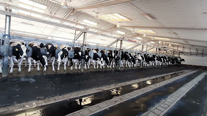 المراعي ، مزرعة ألبان الدانة - طريق حرض ، المملكة العربية السعودية - +966 58 019 6576