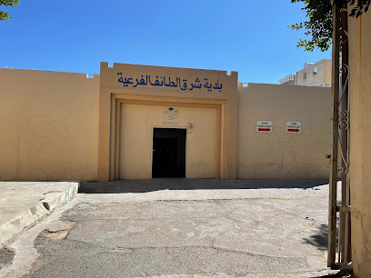 بلدية شرق الطائف - الطائف - +966 12 742 5689