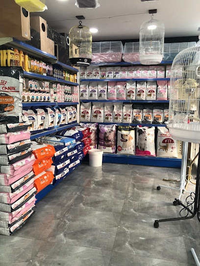محب للطيور النادرة - Saudi Arabia|Al Qatif 32637|Al Madani|King Faisal Ibn Abdulaziz St