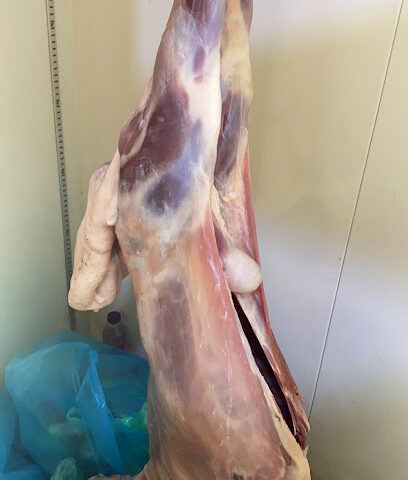 ملحمة النعمان - جازان - +966 53 435 7762