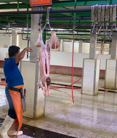 مسلخ البادي رقم (٣) - المدينة المنورة -