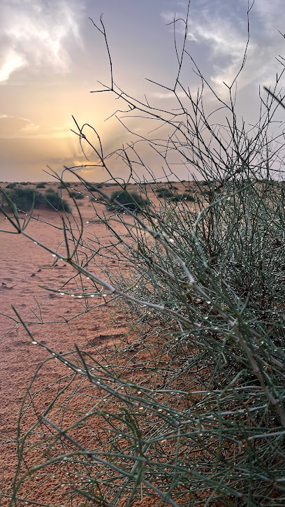 طبرجل - Saudi Arabia|Tubarjal 74769،|WHPB6597، 6597 حدرج، 3376، حي الربوة،