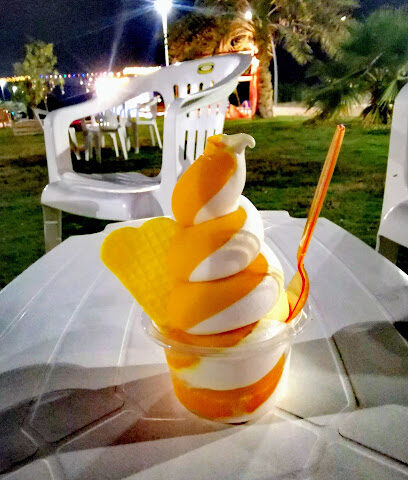 فروزن ترك شاحنة مجمدة - صفوى -