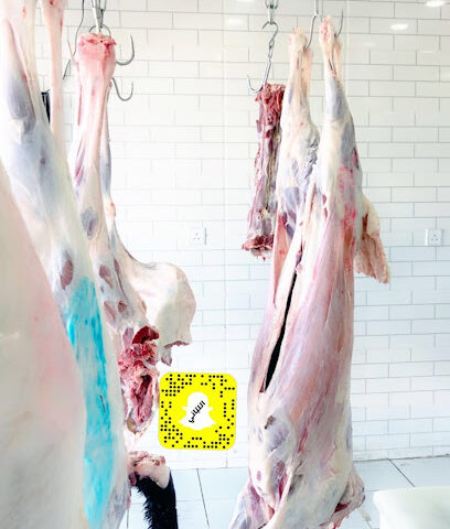 جزار اللباني - الهدا - +966 55 504 5457