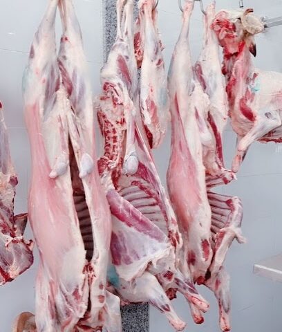 صفا الربيع للحوم الطازجه - الوجه - +966 53 218 5129