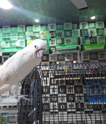 مؤسسة هضاب الشمال التجارية - عرعر - +966 55 334 6444