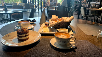 كانيفورا - تبوك - +966 14 421 4364