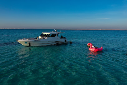 نادي مسارات المغامرات - مراسي - الوجه - +966 56 044 5538