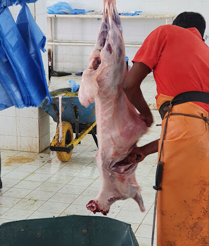 مسلخ البلدية - الدوادمي -