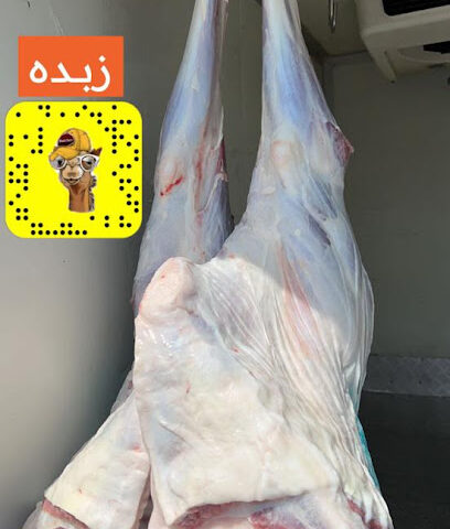 جزار الحاشي - الطائف - +966 56 698 8870