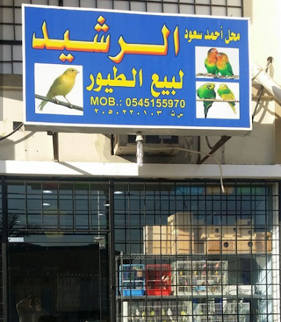الرشيد للطيور - الدمام - +966 54 515 5970