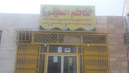 عالم الطيور - تبوك - +966 55 261 2343